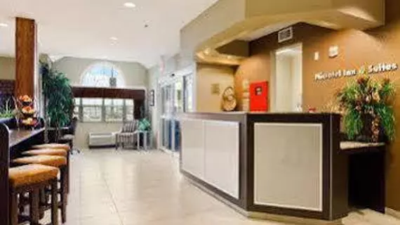 Microtel Inn & Suites by Wyndham Buda | Teksas - Austin (ve civarı) - Buda