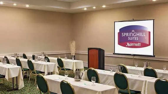 SpringHill Suites Boston Peabody | Massachusetts - Peabody