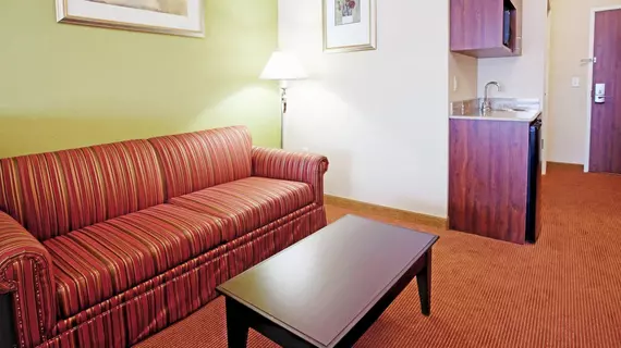 Holiday Inn Express Hotel & Suites Minden | Nevada - Carson City (ve civarı) - Minden