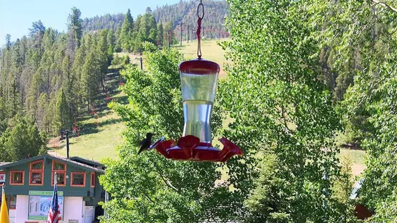 Alpine Lodge | New Mexico - Taos (ve civarı) - Red River