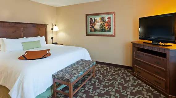 Hampton Inn & Suites Fairbanks | Alaska - Fairbanks (ve civarı) - Fairbanks