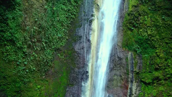 El Silencio Lodge & Spa | Alajuela (ili) - San Jose (ve civarı) - Sarchi Norte