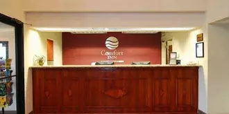 Comfort Inn Pine Bluff