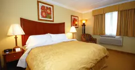 Best Western PLUS Franklin Square Inn | New York - Albany (ve civarı) - Troy