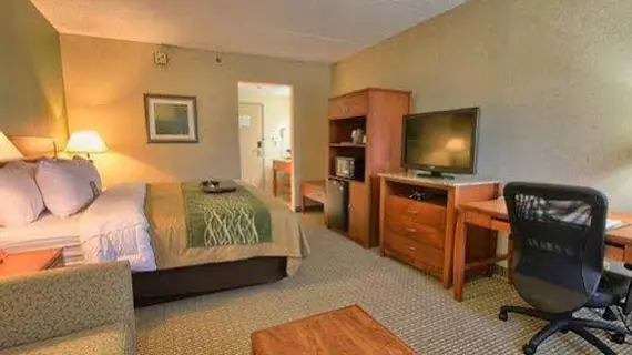 Comfort Inn Near Greenfield Village | Michigan - Detroit (ve civarı) - Dearborn