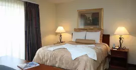 Chase Suite Hotel Tampa | Florida - Tampa (ve civarı) - Tampa