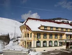 Vital Hotel Grüner Baum | Baden-Wuerttemberg - Todtnau - Muggenbrunn