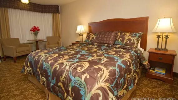 Tropicana Inn & Suites | Kaliforniya - Orange County - Anaheim - Anaheim Resort