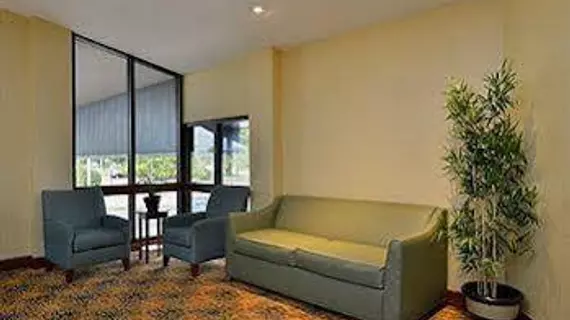 Comfort Inn Plymouth | Michigan - Detroit (ve civarı) - Plymouth