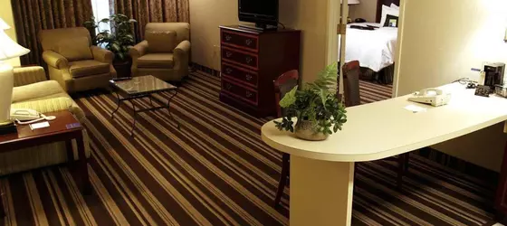 Hampton Inn & Suites Memphis-Beale Street | Tennessee - Memphis (ve civarı) - Memphis - Downtown Memphis