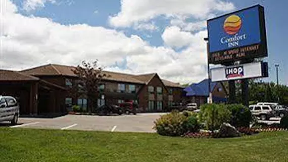 Comfort Inn St. Catharines Niagara | Ontario - Niagara Regional Belediyesi - Niagara Şelalesi (ve civarı), Kanada - St. Catharines