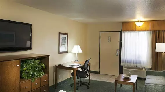 SureStay Plus by Best Western Twentynine Palms Joshua Tree | Kaliforniya - San Bernardino County - Twentynine Palms (ve civarı) - Twentynine Palms