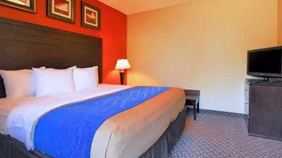 Comfort Inn Opelousas | Louisiana - Lafayette (ve civarı) - Opelousas