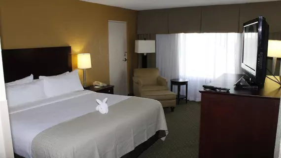 Holiday Inn St. Petersburg N - Clearwater | Florida - St. Petersburg - Clearwater (ve civarı) - Clearwater - Feather Sound