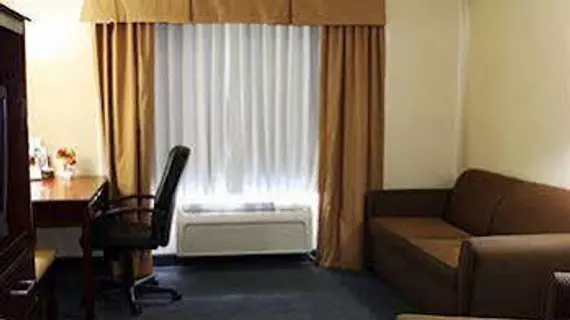 Comfort Suites Wixom / Novi | Michigan - Detroit (ve civarı) - Wixom