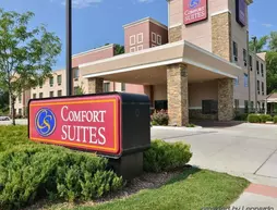 Comfort Suites Topeka | Kansas - Topeka (ve civarı) - Topeka