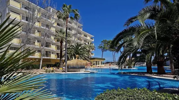 Iberostar Alcudia Park | Balearic Adaları - Mayorka Adası - Pla de Mallorca