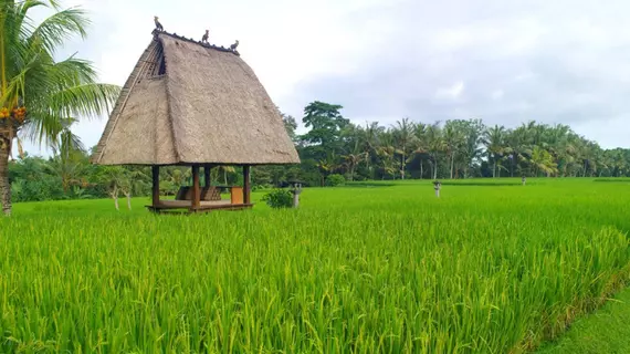 The Chedi Club At Tanah Gajah, Ubud | Bali - Ubud