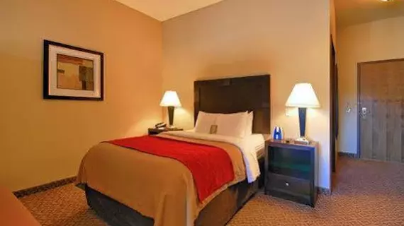 Comfort Inn & Suites Scottsboro | Alabama - Scottsboro (ve civarı) - Scottsboro