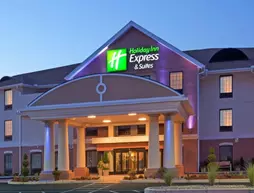 Holiday Inn Express Hotel & Suites Westfield | Massachusetts - Springfield (ve civarı) - Westfield