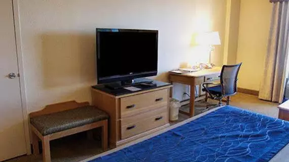 Comfort Inn & Suites Presidential | Arkansas - Little Rock (ve civarı) - Little Rock - Little Rock Şehir Merkezi