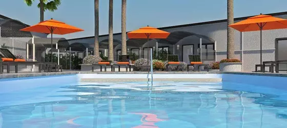 The Palm Springs Hotel | Kaliforniya - Imperial County - Palm Springs (ve civarı) - Palm Springs