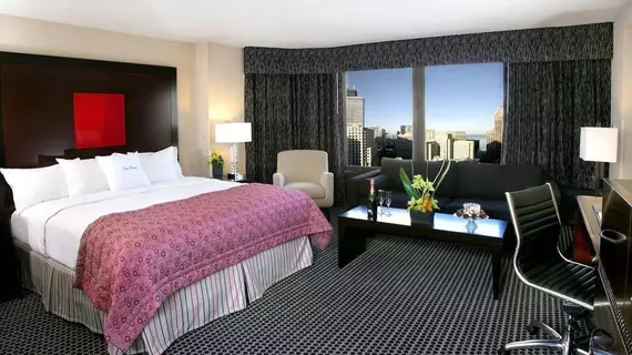 DoubleTree by Hilton Chicago Magnificent Mile | İllinois - Chicago (ve civarı) - Chicago - Streeterville