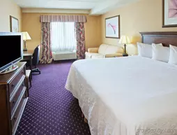 Country Inn & Suites by Radisson, Grand Rapids East | Michigan - Grand Rapids (ve civarı) - Grand Rapids