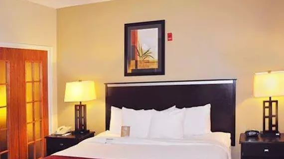 Comfort Suites Denver Tech Center/Englewood | Kolorado - Denver (ve civarı) - Englewood