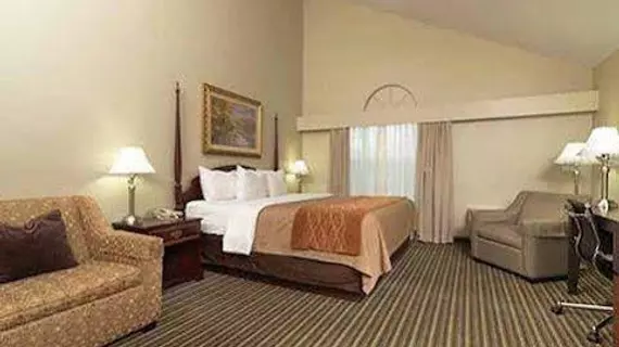 Comfort Inn Plainwell | Michigan - Kalamazoo (ve civarı) - Plainwell