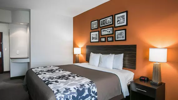 Sleep Inn & Suites - I-45/ Airtex | Teksas - Houston (ve civarı) - Houston