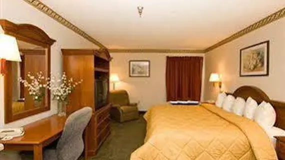 Comfort Inn Darien | Georgia - Brunswick (ve civarı) - Darien