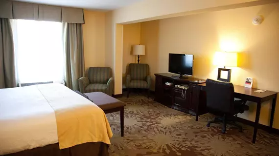 Holiday Inn Gurnee Convention Center | İllinois - Gurnee