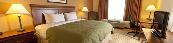 Country Inn & Suites - Smyrna | Georgia - Atlanta (ve civarı) - Smyrna