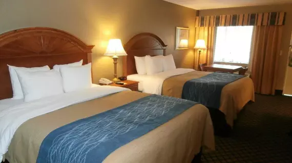 Comfort Inn Sun City Center | Florida - Tampa (ve civarı) - Sun City Center