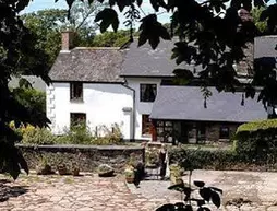 Burton Farmhouse B&B | Devon (kontluk) - South Hams - Kingsbridge