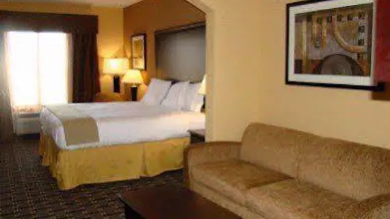 Holiday Inn Express Hotel & Suites Dallas Central Market Center | Teksas - Dallas (ve civarı) - Dallas