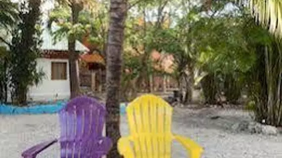 Beds Friends Hostel | Quintana Roo - Cozumel