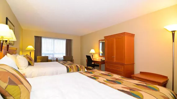 Best Western PLUS Calgary Centre Inn | Alberta - Calgary (ve civarı) - Calgary