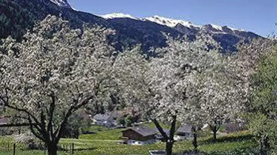 Hotel Rose | Trentino-Alto Adige - Güney Tirol (il) - Val di Vizze