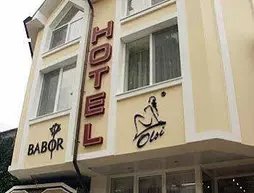 Business Hotel Olsi | Kişinev