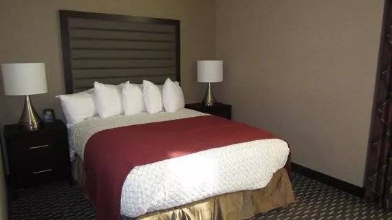 Embassy Suites Saint Louis - Downtown | Missouri - St. Louis (ve civarı) - St. Louis - St. Louis Şehir Merkezi