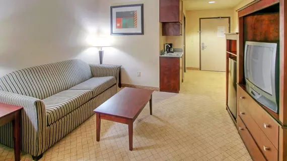 Holiday Inn Express & Suites Portales | New Mexico - Clovis (ve civarı) - Portales