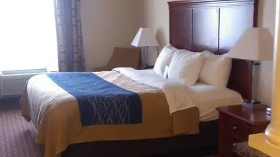 Comfort Inn & Suites Kent | Ohio - Summit İlçesi - Akron (ve civarı) - Kent