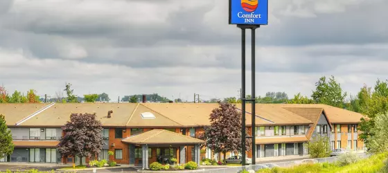 Comfort Inn Newmarket | Ontario - Toronto (ve civarı) - Newmarket