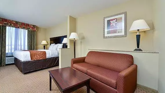 Comfort Suites Mobile | Alabama - Mobile (ve civarı) - Mobile