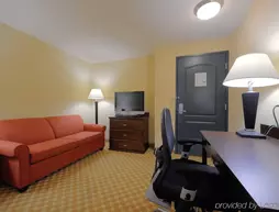 Country Inn & Suites Savannah Airport | Georgia - Savannah (ve civarı) - Savana