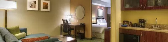 SpringHill Suites by Marriott - Tampa Brandon | Florida - Tampa (ve civarı) - Tampa