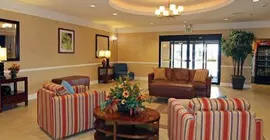 Comfort Inn & Suites Savannah Airport | Georgia - Savannah (ve civarı) - Savana