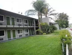 Lemon Tree Motel | Kaliforniya - Los Angeles County - San Gabriel Valley